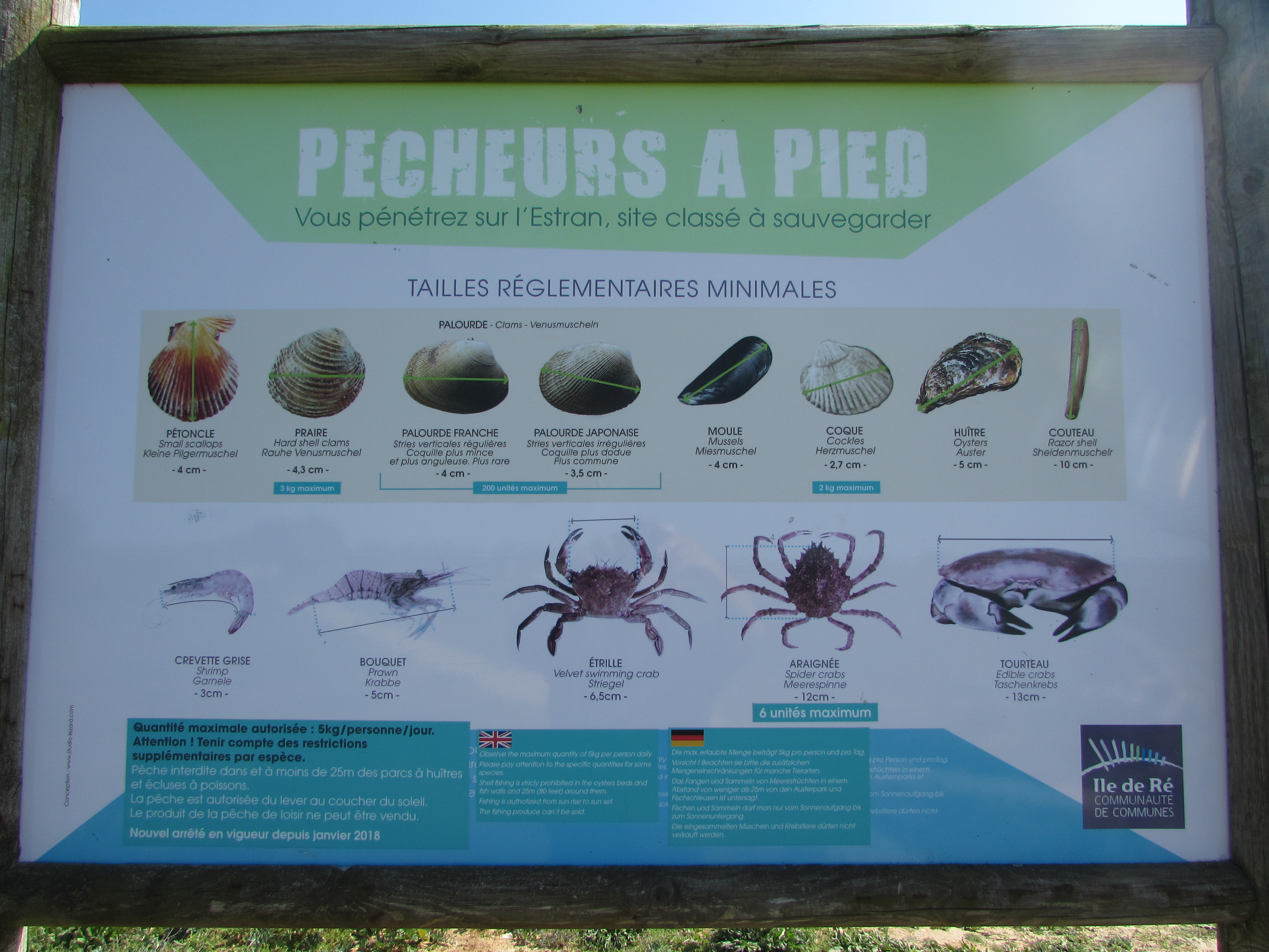 Pêche